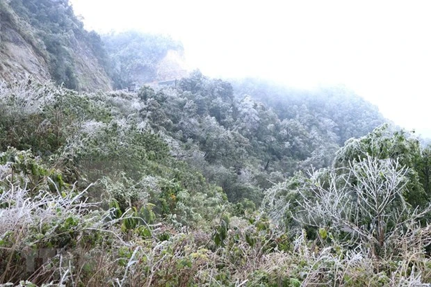  越南北部地区异常寒冷天气造成灾区严重损失