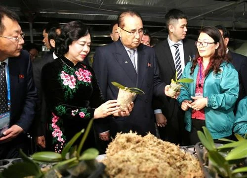 朝鲜劳动党代表团参观丹淮合作社兰花种植模式