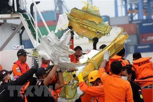 印尼狮航空难遇难者身份鉴别工作结束 125人身份确认