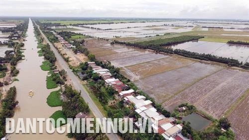 唤醒同塔梅地区的潜力