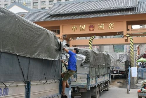 越南密切关注新型冠状病毒感染的肺炎疫情 准确评估其对进出口活动产生的影响