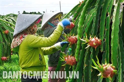 平顺省扩大展开合作社经济模式