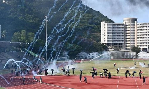 越南驻中国香港总领事馆为在港越南留学生回国提供支持