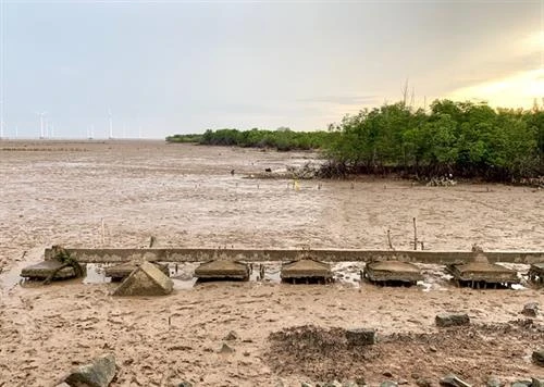 九龙江三角洲地面沉降平均每年下沉2-5公分