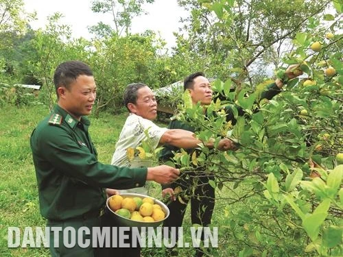 广南建设坚固的全民边防阵势