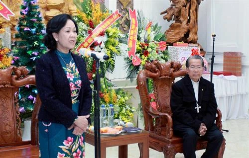 张氏梅走访慰问太平省教区