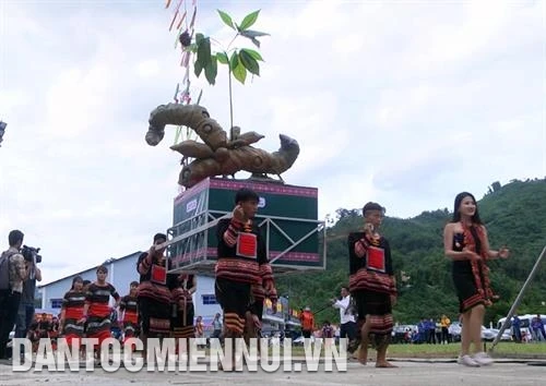 2019年第三届玉灵人参节热闹举行