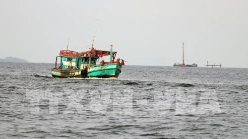 越南成立打击非法、不报告和不管制捕捞(IUU)国家指导委员会