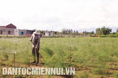 宁顺省少数民族地区同胞生活换新颜