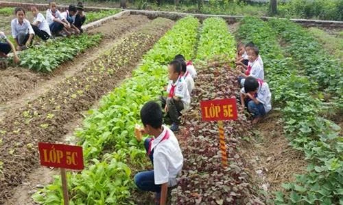 校园农场模式让学生吃得放心吃得开心