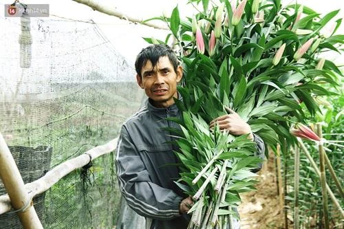 河内西就花村五彩缤纷迎春节