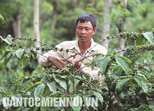 提高物流业人力资源培训质量