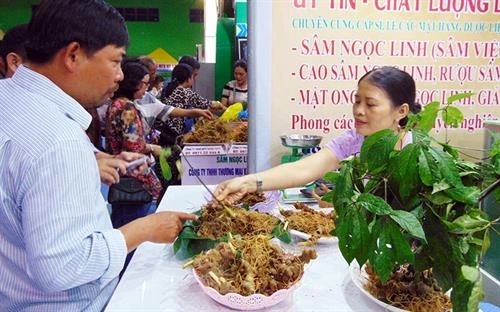 第三届玉灵人参节正式开幕