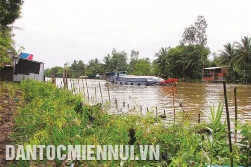 生态护岸—防止河岸坍方的方案