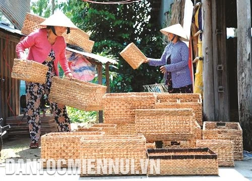 芹苴市为农村劳动力进行职业技能培训