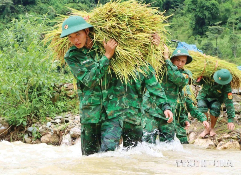 莱州省边防部队帮助正在收割水稻的农民“避雨”。