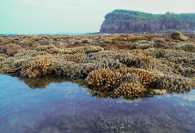 越南旅游：独特的燕礁——“地上水宫”