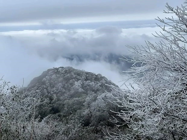 受冷空气影响 越南北部山区可能出现雨夹雪