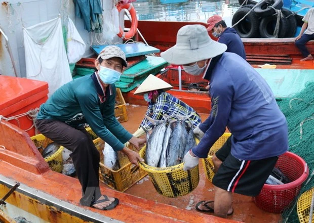 农业部副部长冯德进：集中精力尽早解除IUU“黄牌警告”