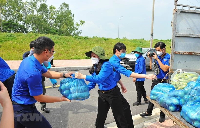 响应越共中央总书记的号召首都河内近5000名青年志愿者奔赴各地参与防疫工作