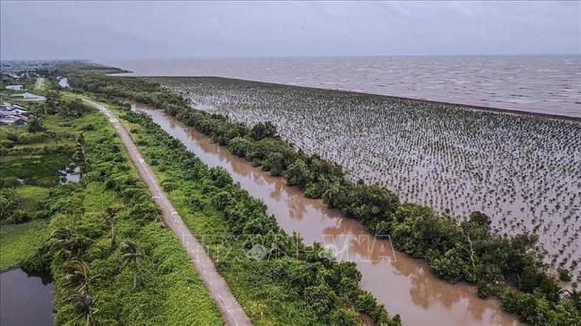 推动九龙江三角洲地区可持续发展和适应气候变化