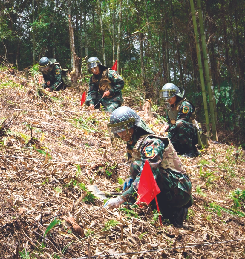 努力扫雷、清理土地 为北部边民创造生计