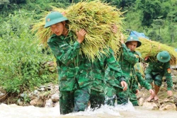 莱州省边防部队帮助正在收割水稻的农民“避雨”。