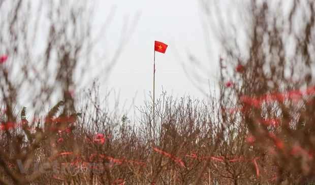 2023癸卯年春节期间天气预报