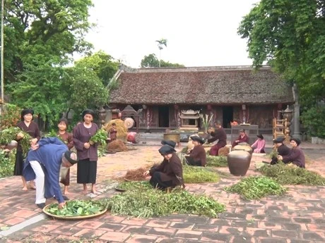 寻回越南宁平省著名贡品药材种植村