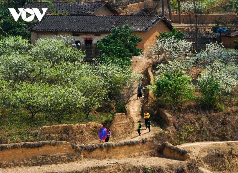 富有岱族与侬族文化特色的佩泰节给游客留下深刻印象