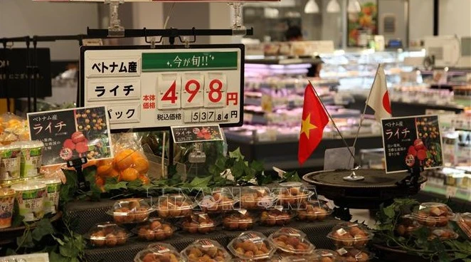 开放农产品市场：按照国际标准生产农产品