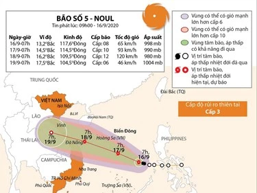 越南航空业采取措施应对第5号台风的影响