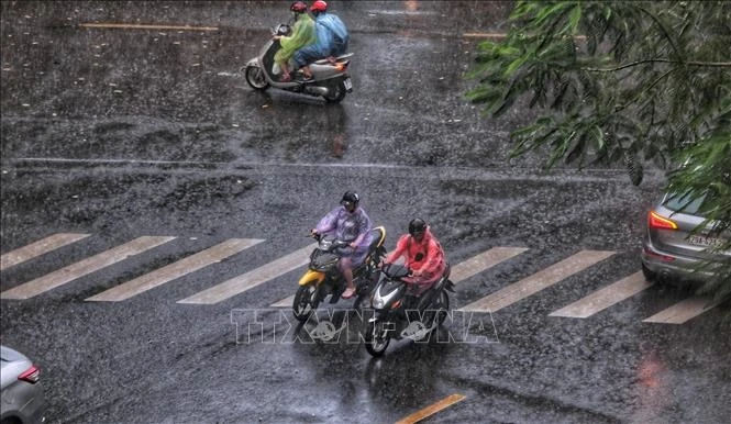 今日越南全国多地有雷暴 局部有大雨天气