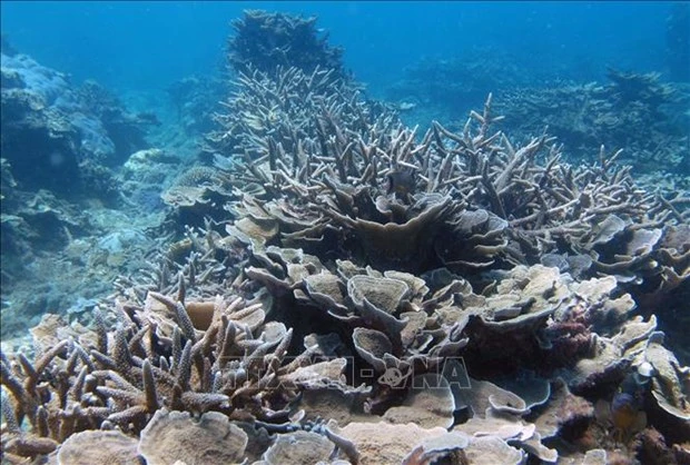 国家生物多样性数据库构建提案正式获批