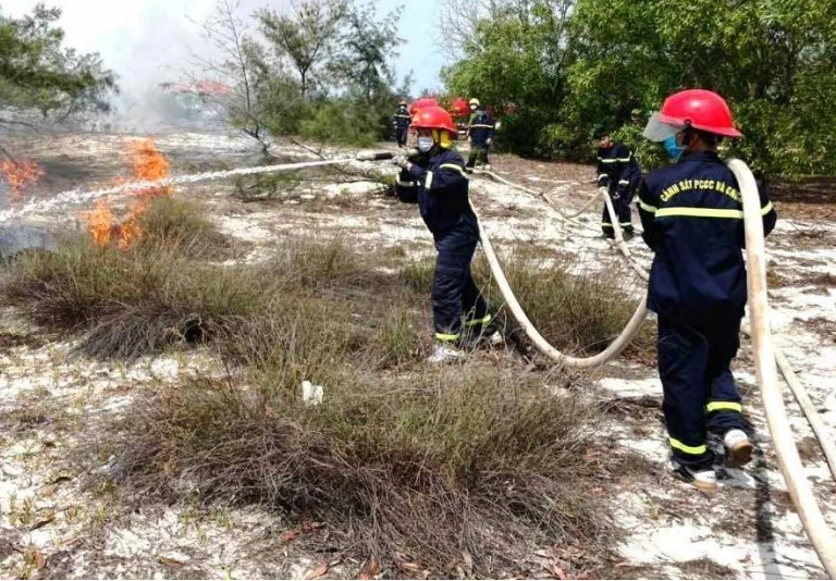 主动做好高温天气森林火灾防范工作