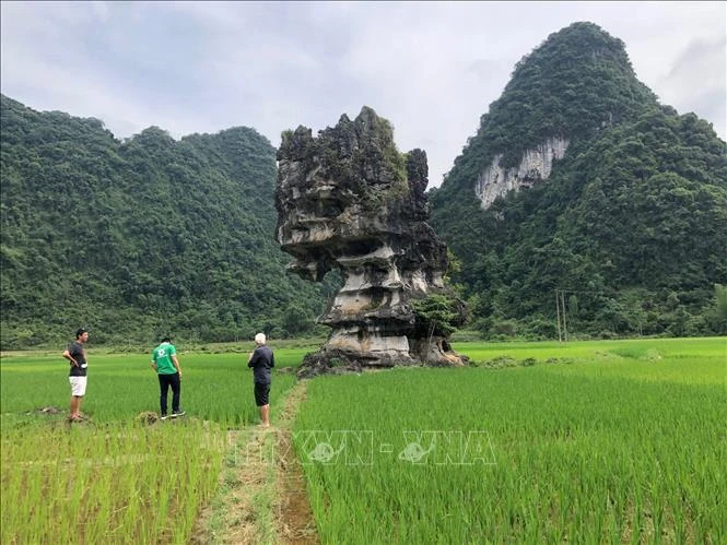 进一步提升高平山水UNESCO全球地质公园之价值