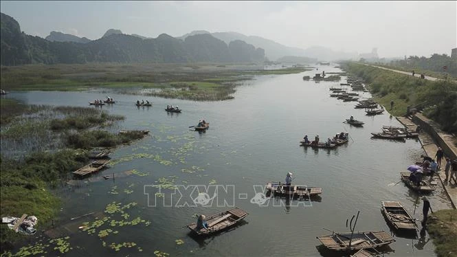 5·22生物多样性日： 携手修复生态系统