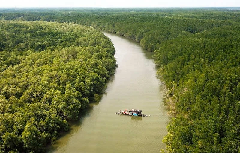 沿海地区森林保护与开发提案获批