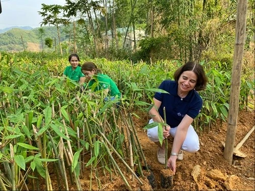 澳大利亚驻越大使对西北地区各投资项目进行考察