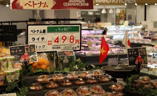 越南对日本出口的农水产品和食品的空间巨大