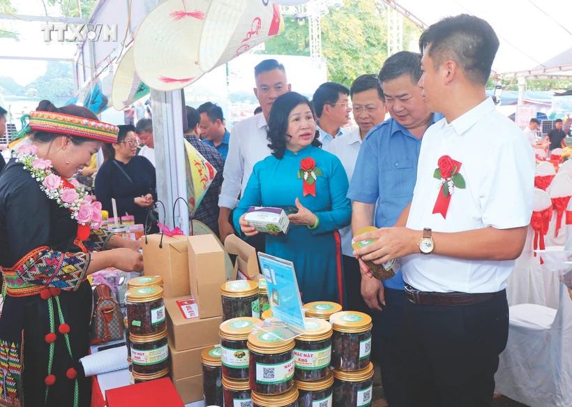 各位代表参观越北六省一乡一品农产品和饮食文化节的展位