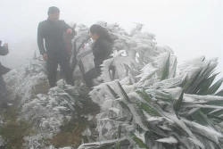 下雪天气 母山旅游景区游客量猛增