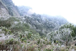  越南北部地区异常寒冷天气造成灾区严重损失