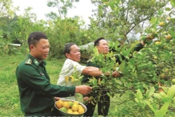 广南建设坚固的全民边防阵势