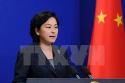 中国外交部发言人华春莹：中国将尽快向越南提供所需援助物资