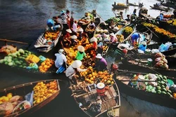 越南体验式旅游潜力巨大