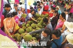 胡志明市特色旅游产品