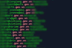 越南超过43.7万个帐户密码遭泄露