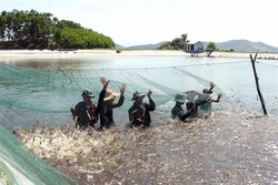 金瓯省力争充分开发海洋经济潜力