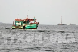 越南成立打击非法、不报告和不管制捕捞(IUU)国家指导委员会